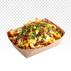 Loaded Fries